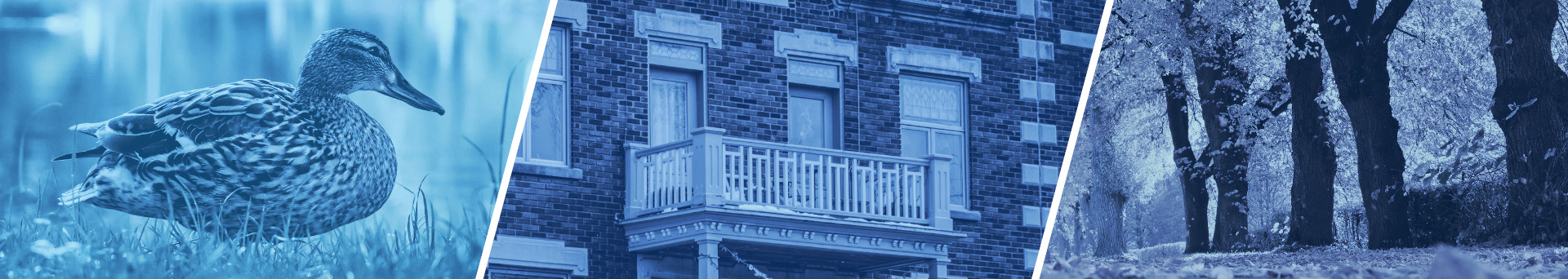 Prteur priv Outremont